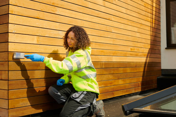 Best Fascia and Soffit Installation  in Cape St Claire, MD